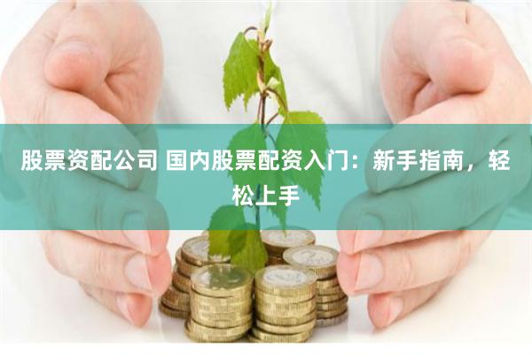 股票资配公司 国内股票配资入门：新手指南，轻松上手