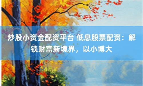 炒股小资金配资平台 低息股票配资：解锁财富新境界，以小博大