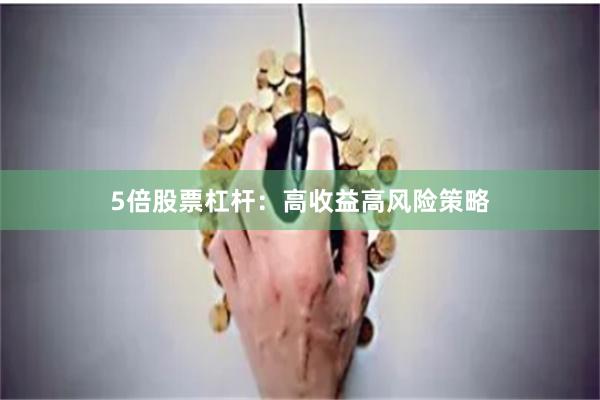5倍股票杠杆：高收益高风险策略